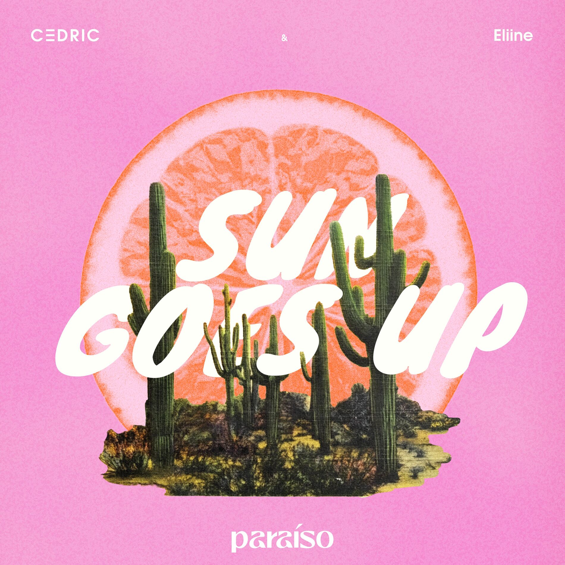 Album cover of Sun Goes Up