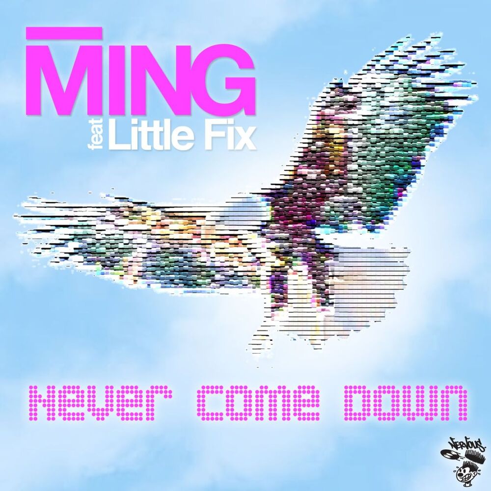 Picture of Never Come Down feat. Little Fix