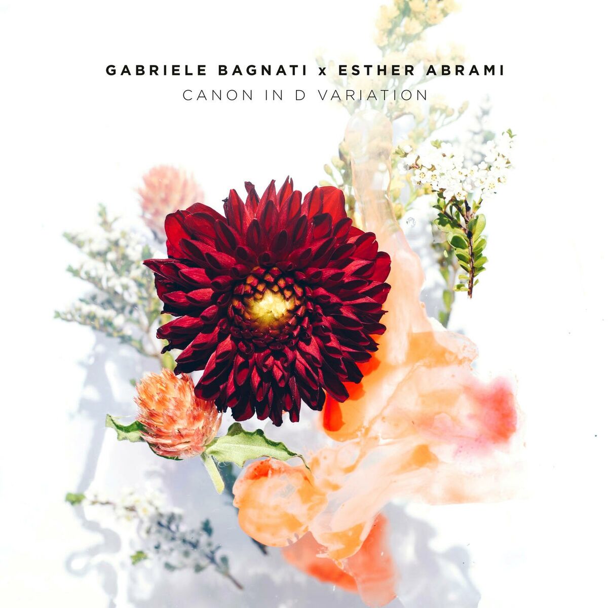 Album cover of Canon in D Variation (From Canon in D Major, P. 37/T. 337, Arr. for Piano and Violin by Svetoslav Karparov)
