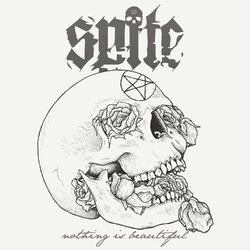Cover of Nothing Is Beautiful