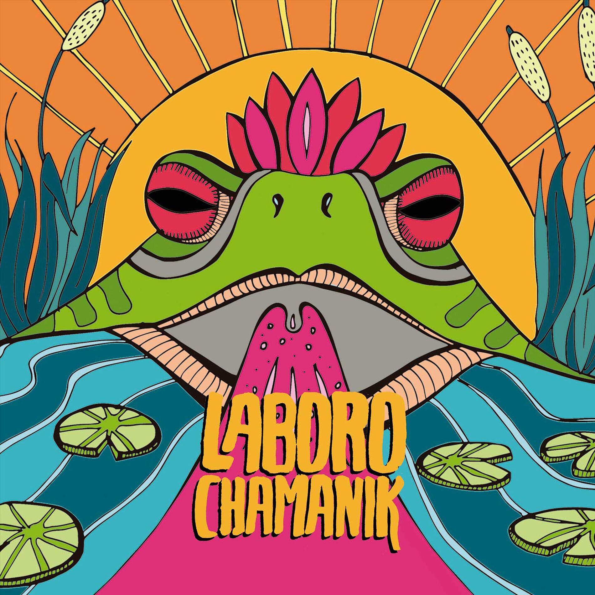 Album cover of Laboro Chamanik