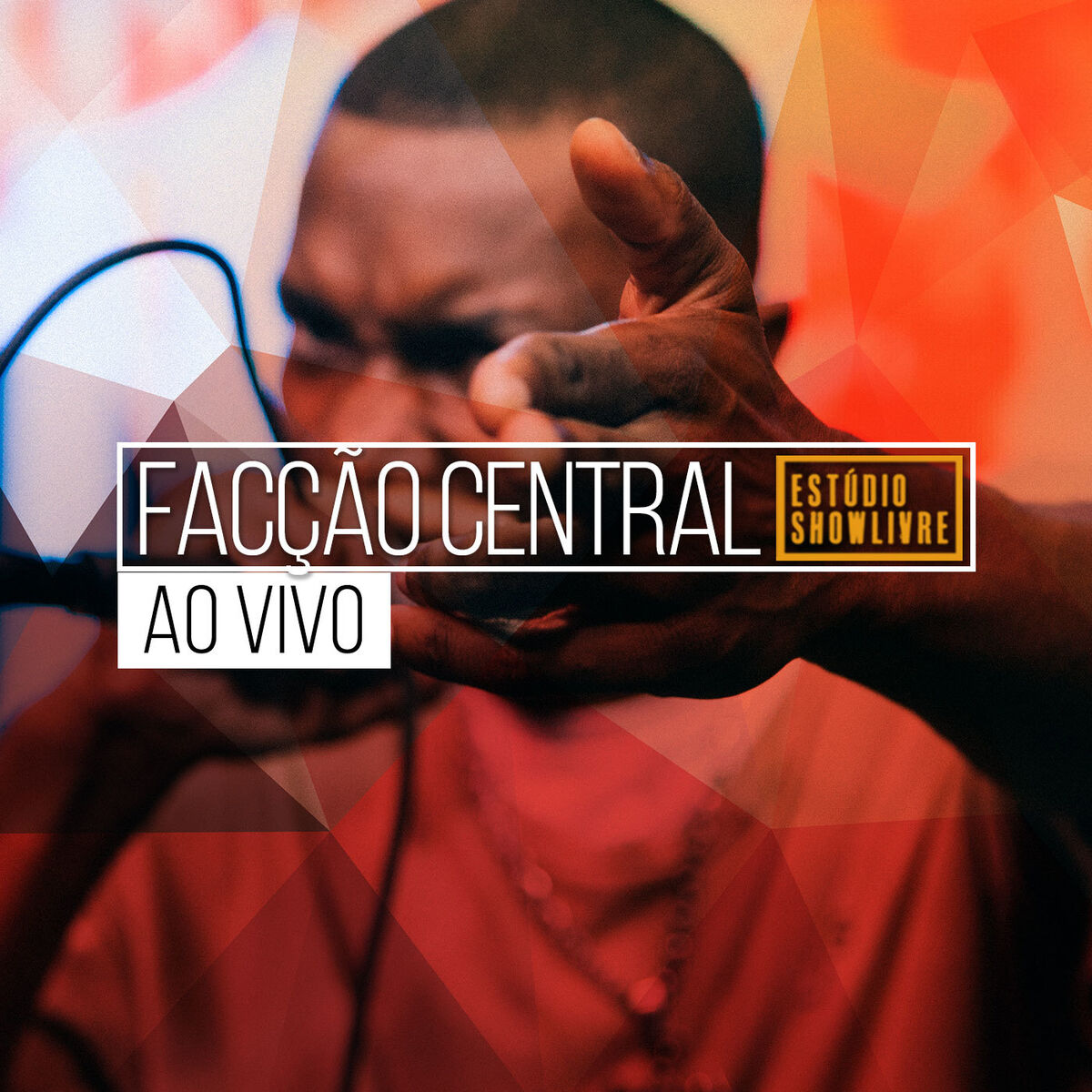 Album cover of Estrada da Dor 666
