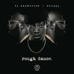 Cover of ROUGH DANCE