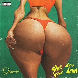 Cover of She Dey Give Dem
