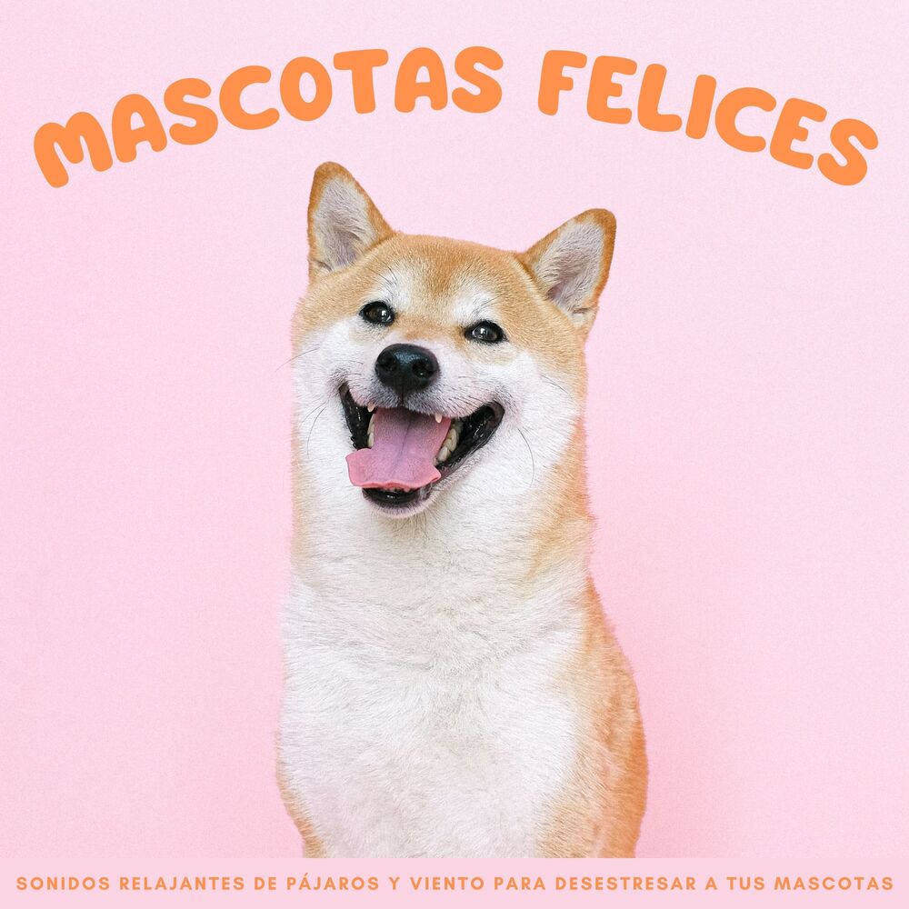 Picture of Mascotas Felices: Sonidos Relajantes De Pájaros Y Viento Para Desestresar A Tus Mascotas