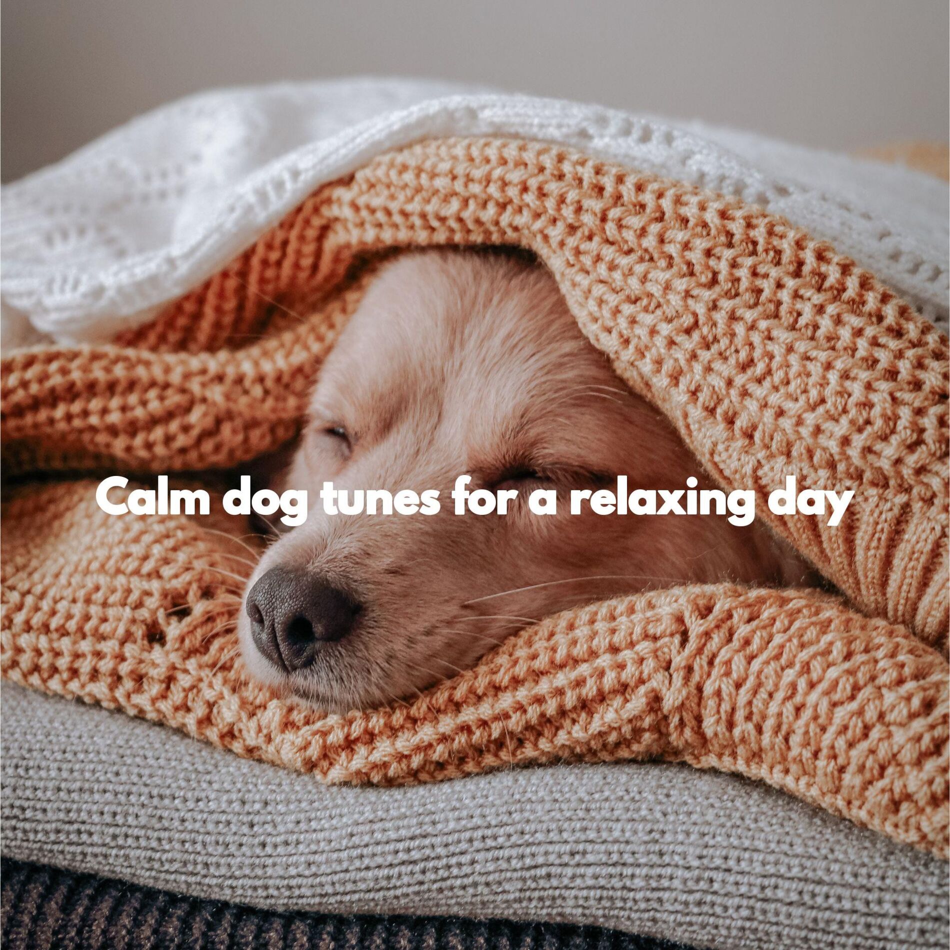 Album cover of Relaxing Music for Dream