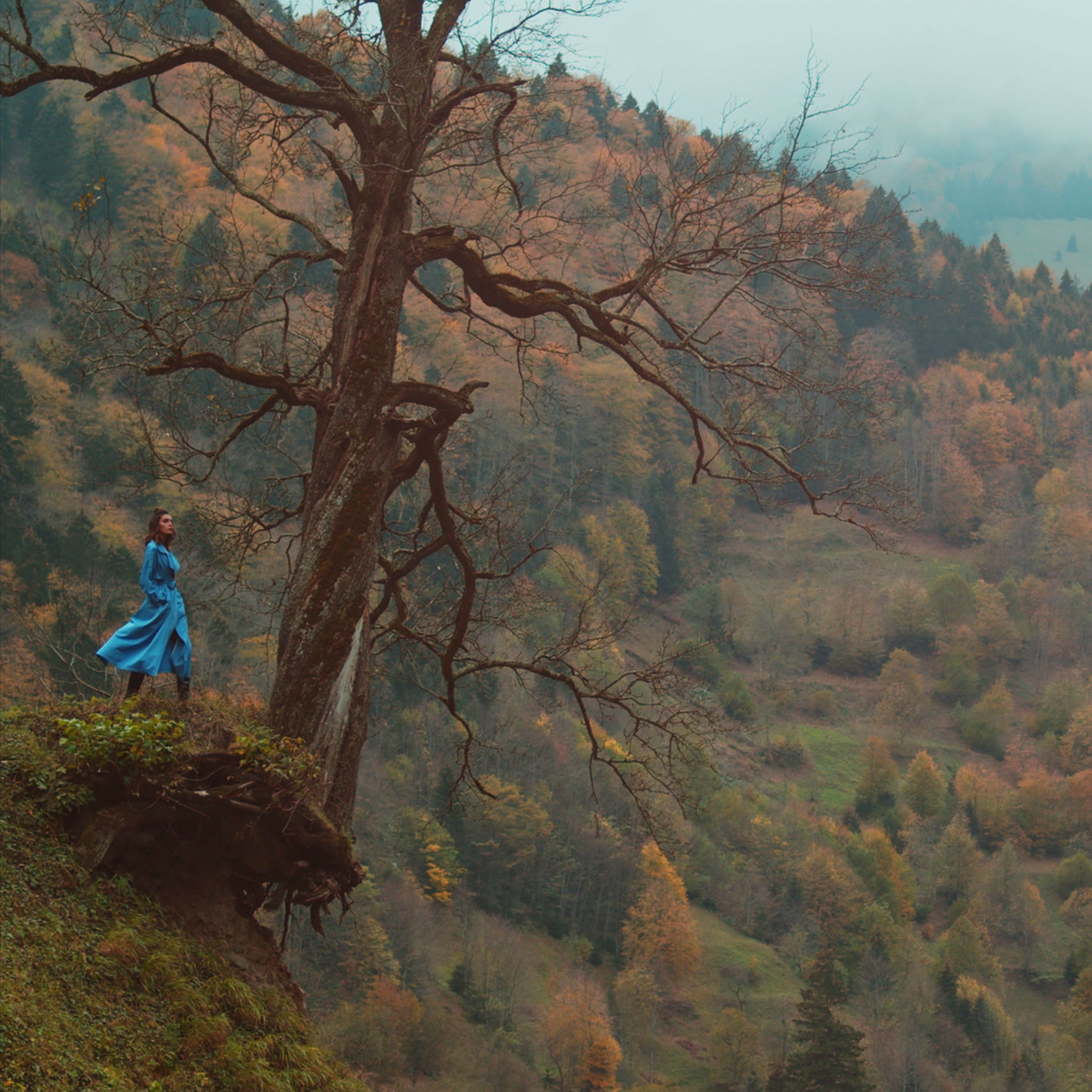 Album cover of Gelino