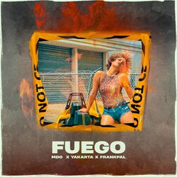 Cover of Fuego