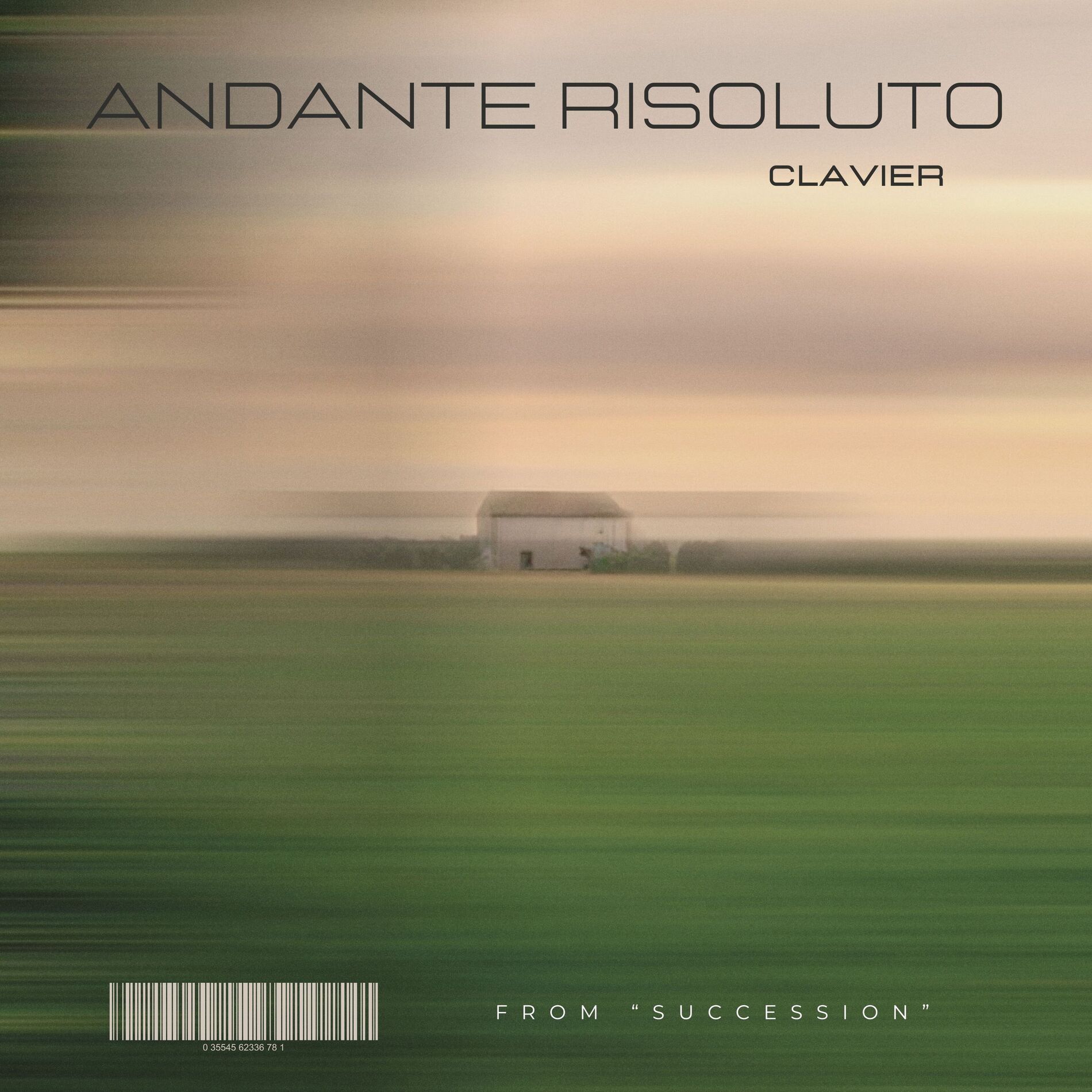Album cover of Andante Risoluto