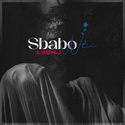 Cover of SBABO NTI