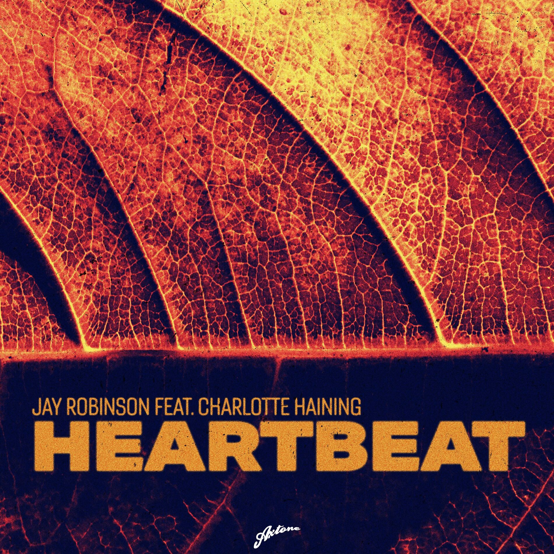 Album cover of Heartbeat