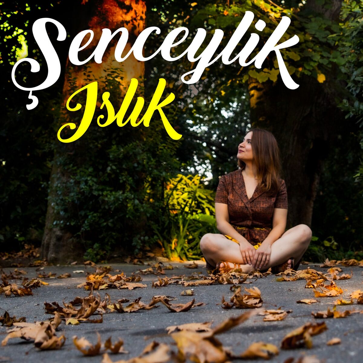 Album cover of Islık
