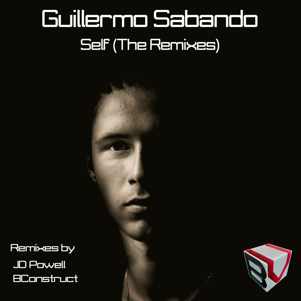 Picture of Self (The Remixes)