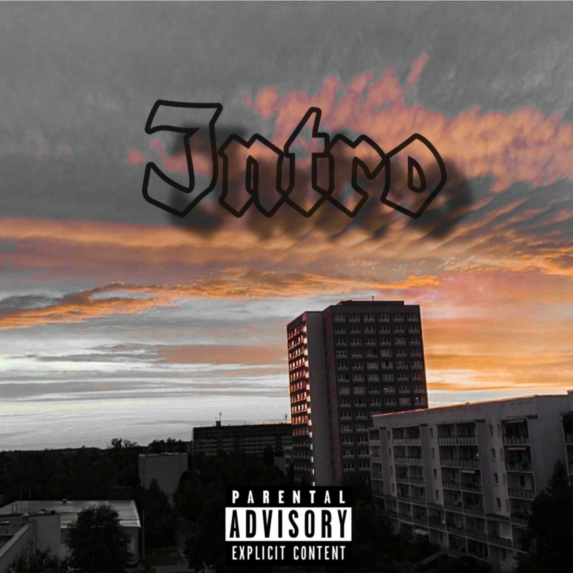 Album cover of Intro