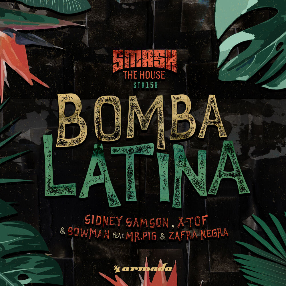 Picture of Bomba Latina