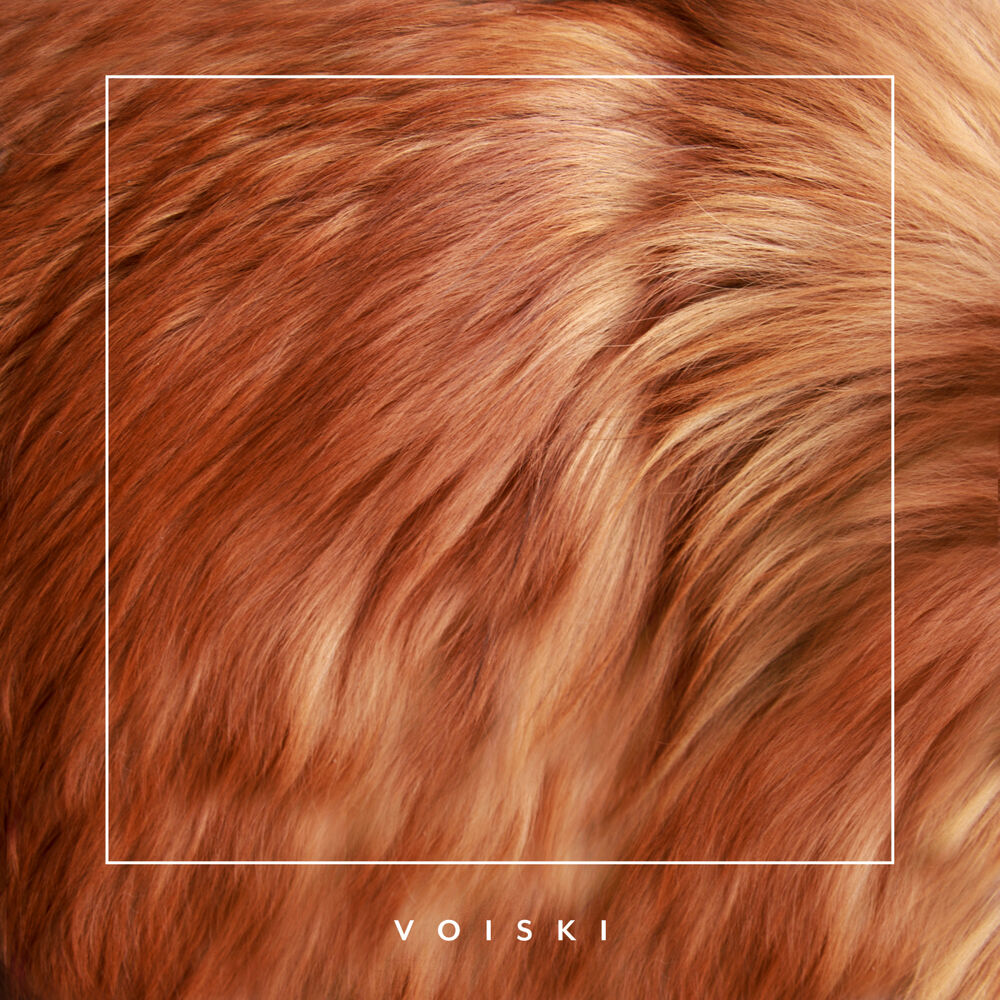 Picture of Voiski