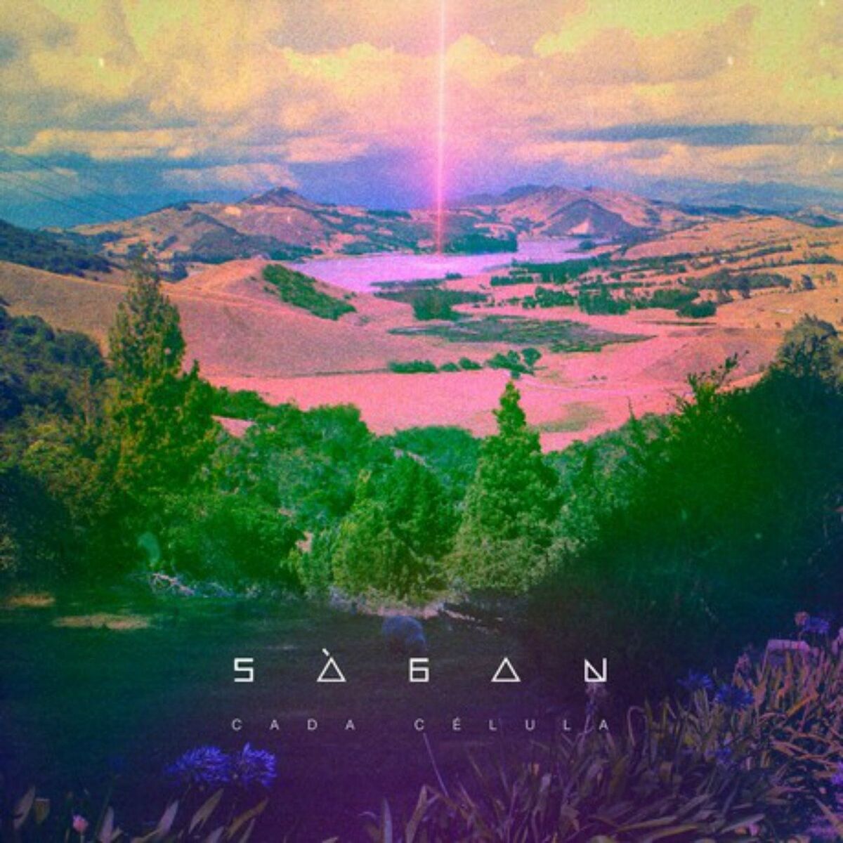 Album cover of Cada Célula