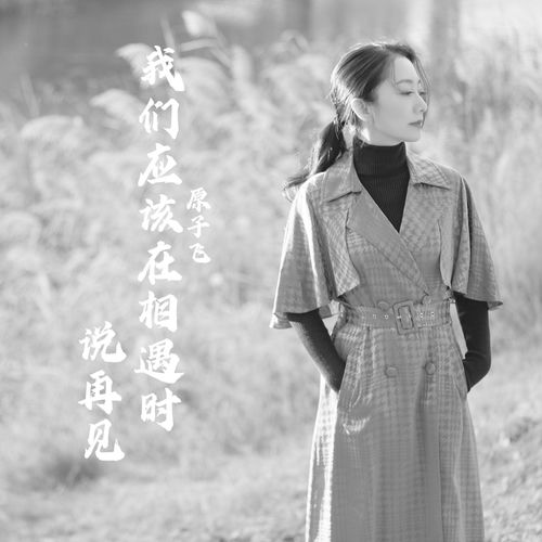 我们应该在相遇时就说再见