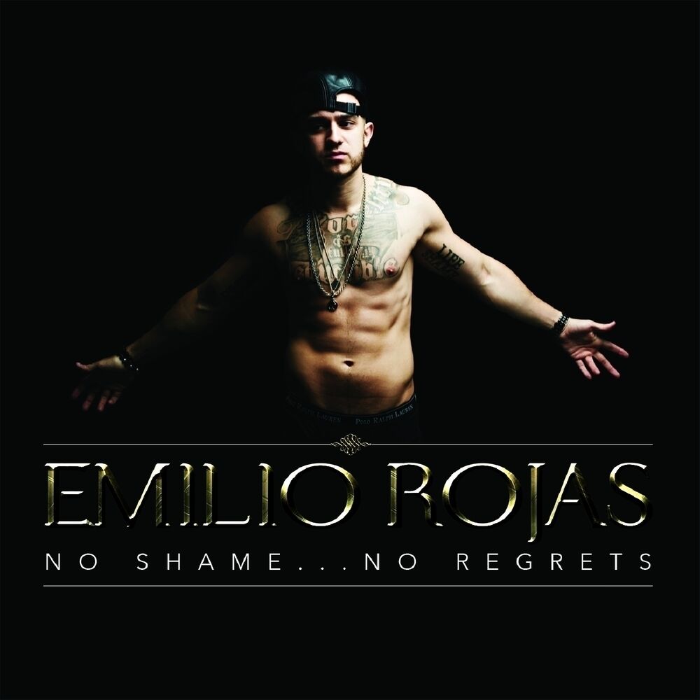 Picture of No Shame... No Regrets