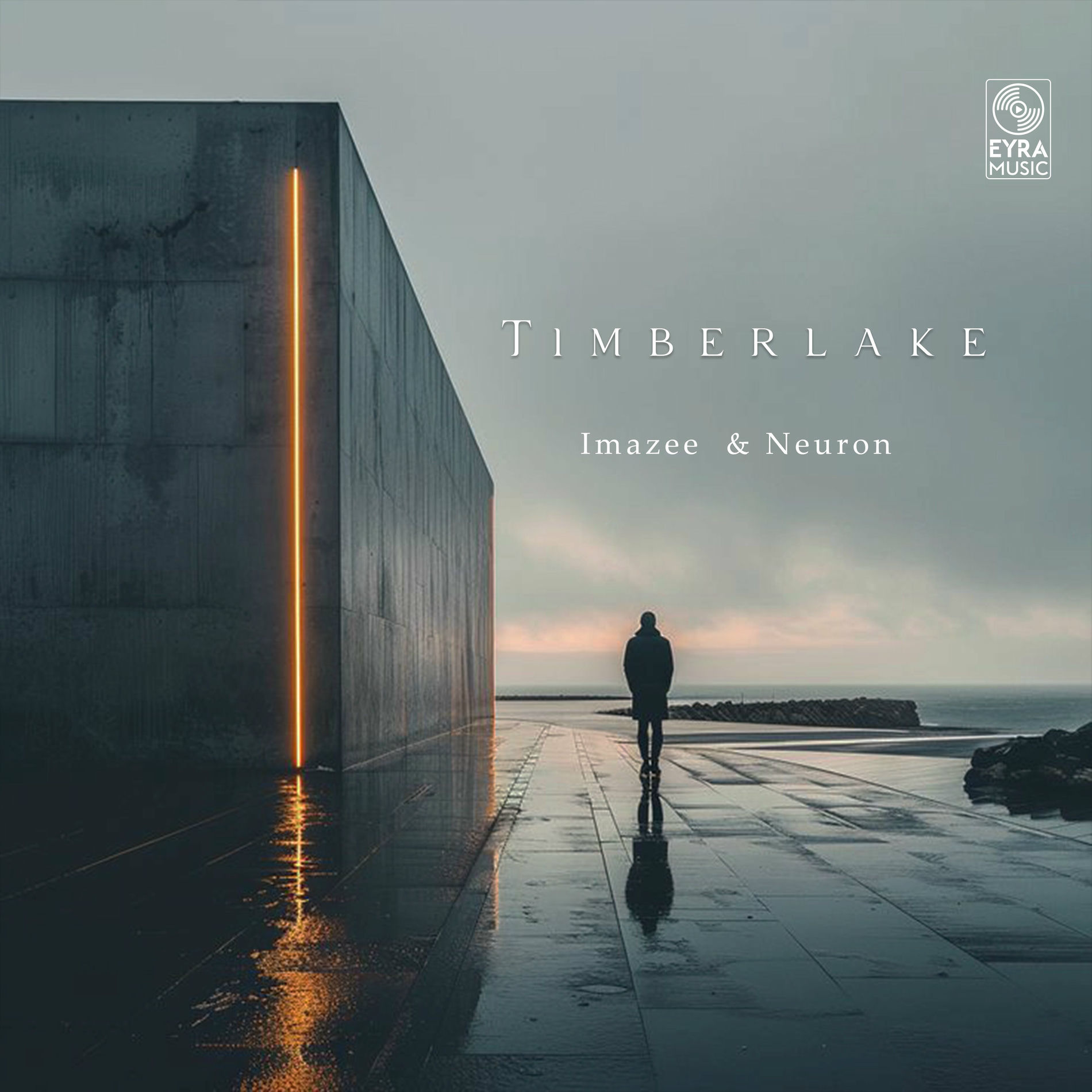 Album cover of Timberlake