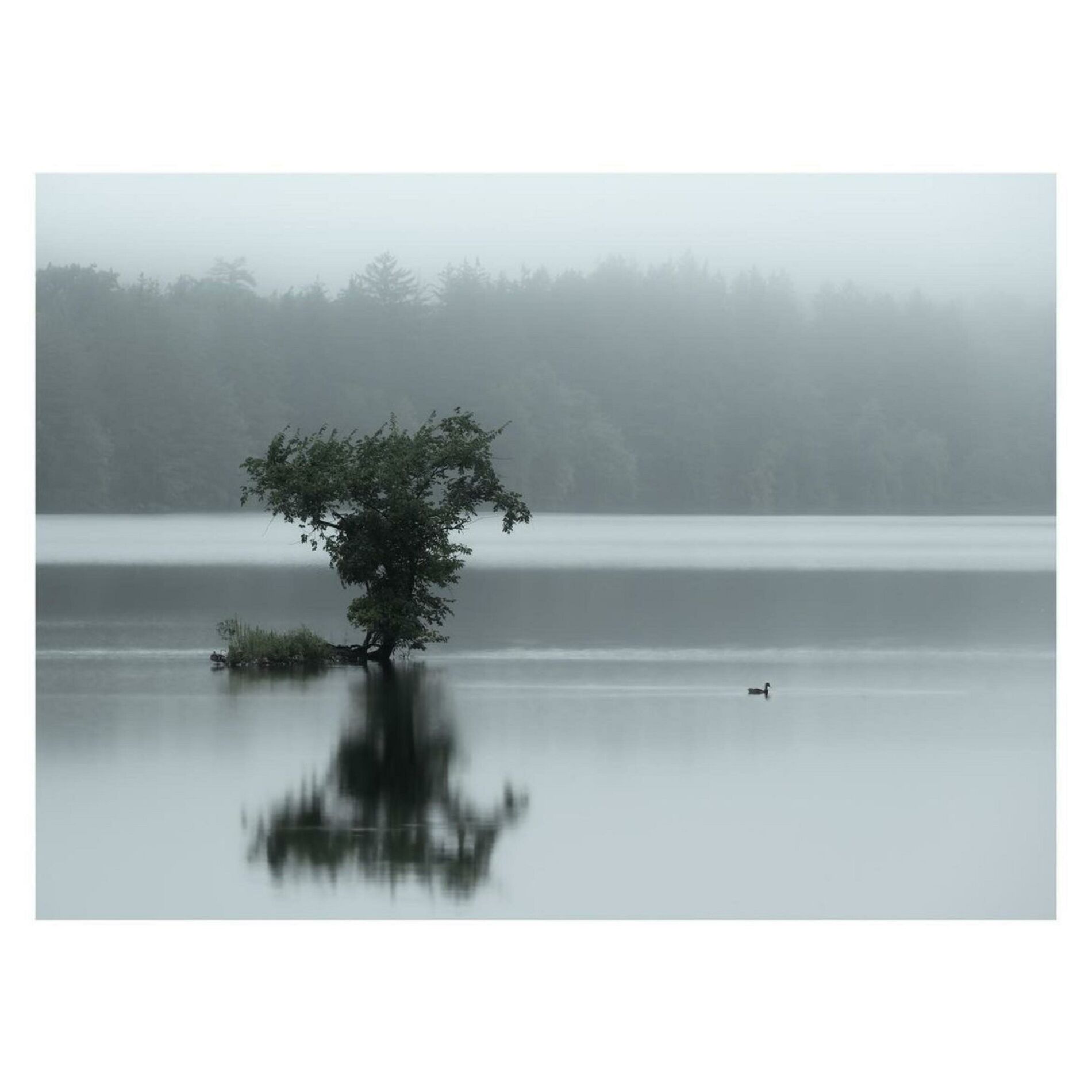 Album cover of sweet