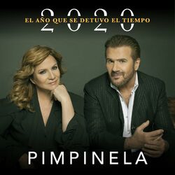 Cover of 2020: El Año Que Se Detuvo el Tiempo