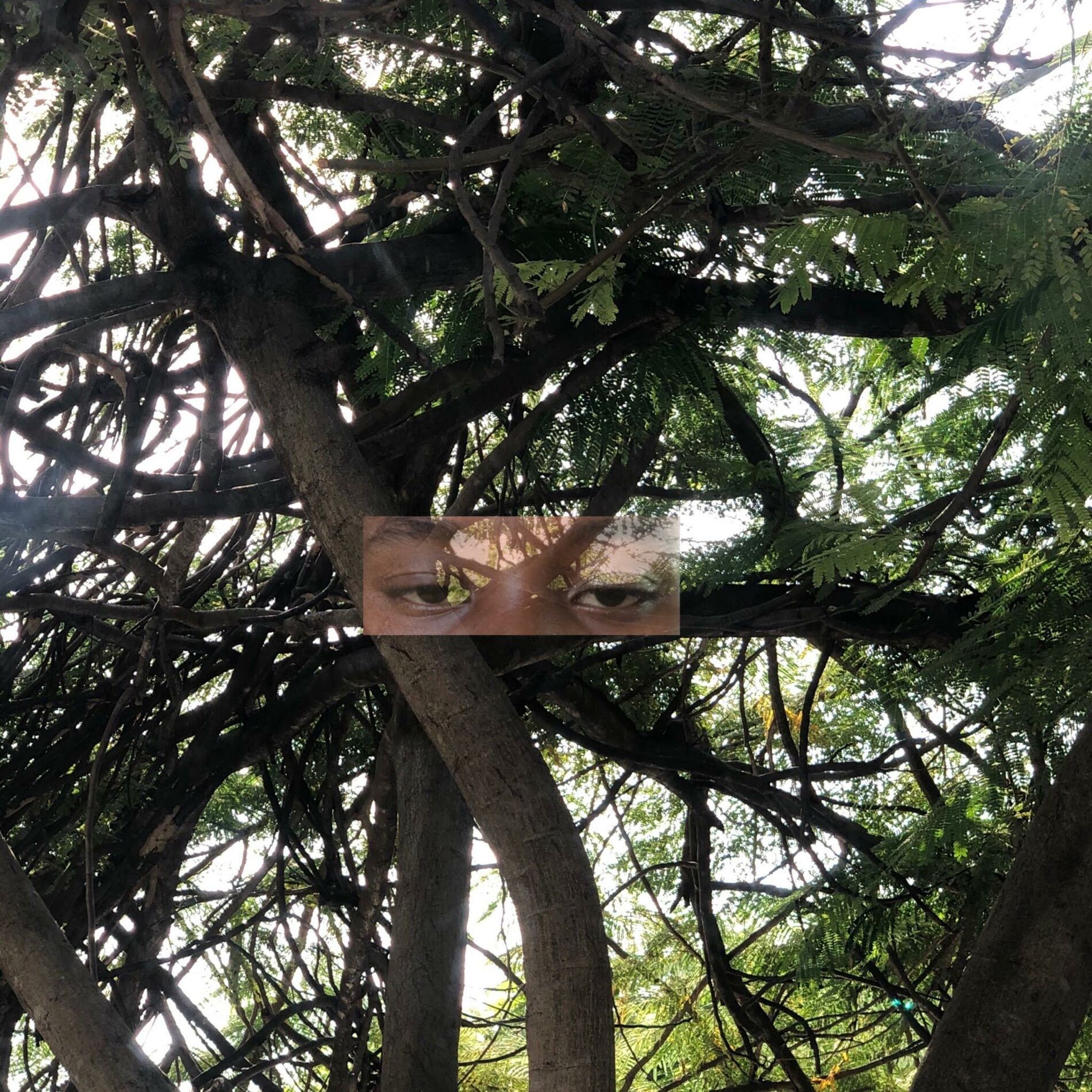 Album cover of Love Being Used