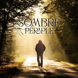 Cover of Sombre périple