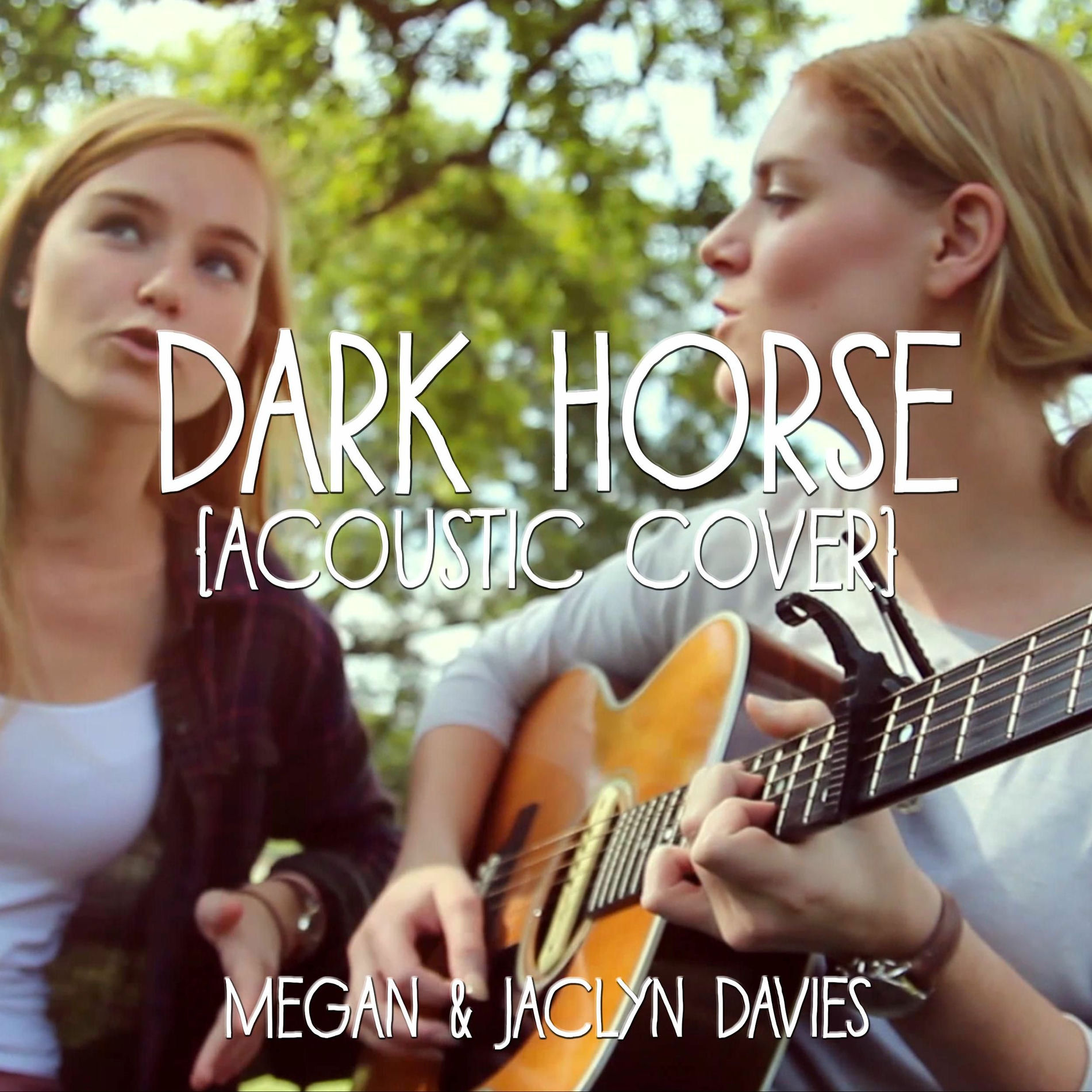 Album cover of Dark Horse (Acoustic Cover) feat. Jaclyn Davies