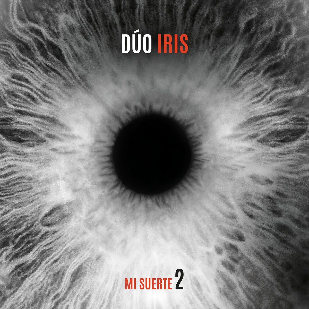 Album cover of Mi Suerte 2