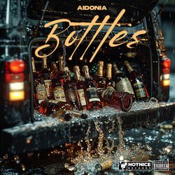 Cover of Bottles