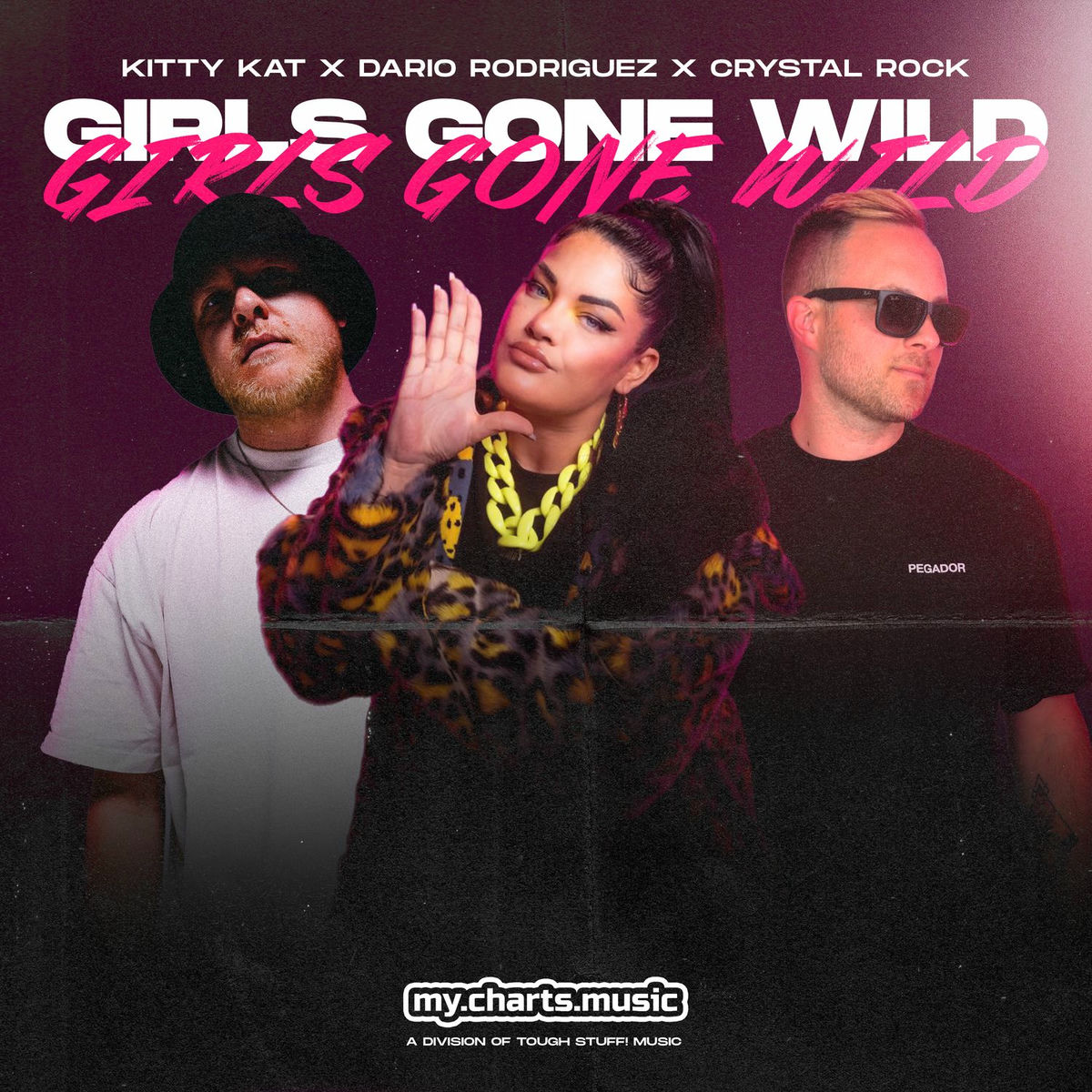 Album cover of Girls Gone Wild