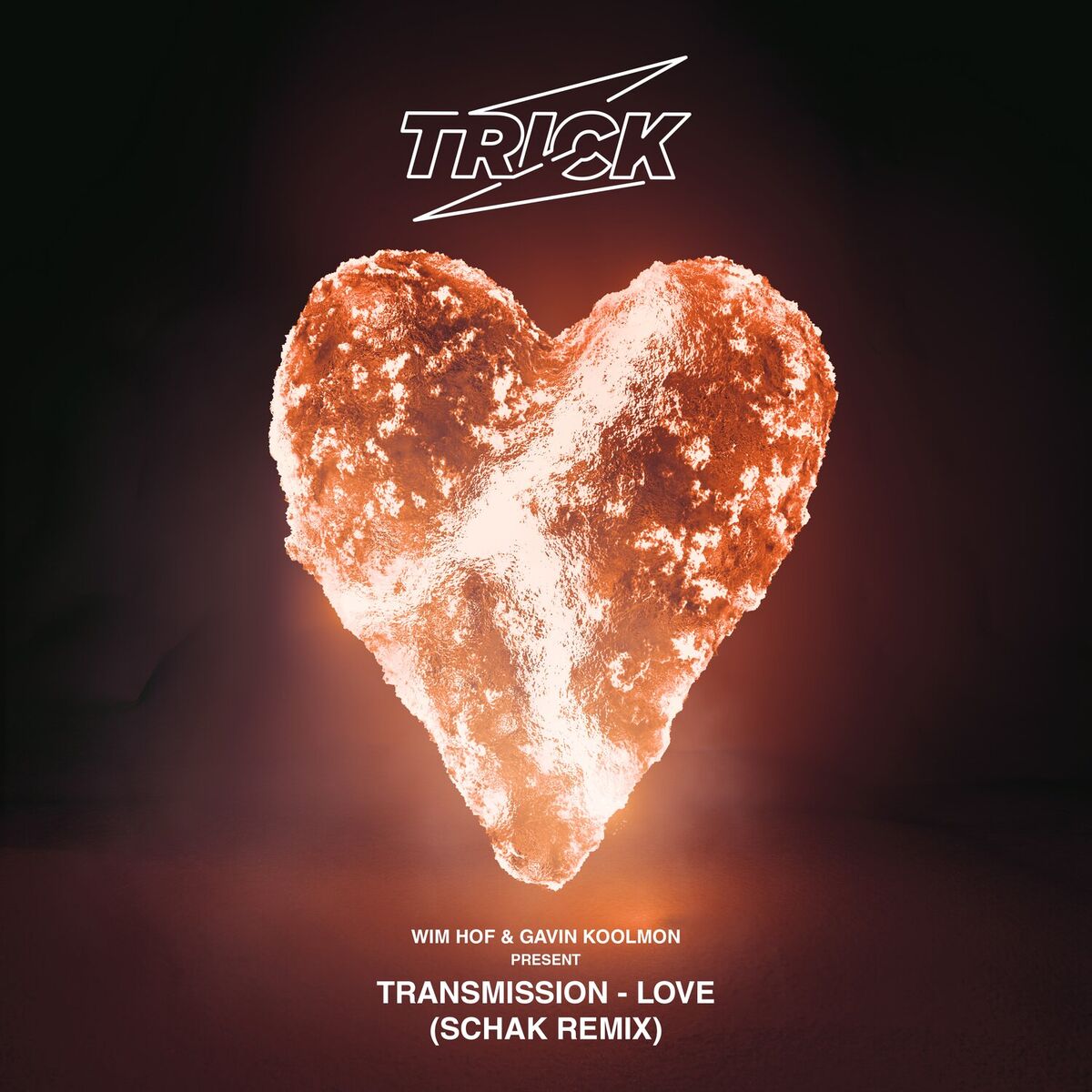 Album cover of LOVE (Schak Remix)