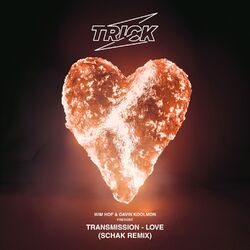 Cover of LOVE (Schak Remix)