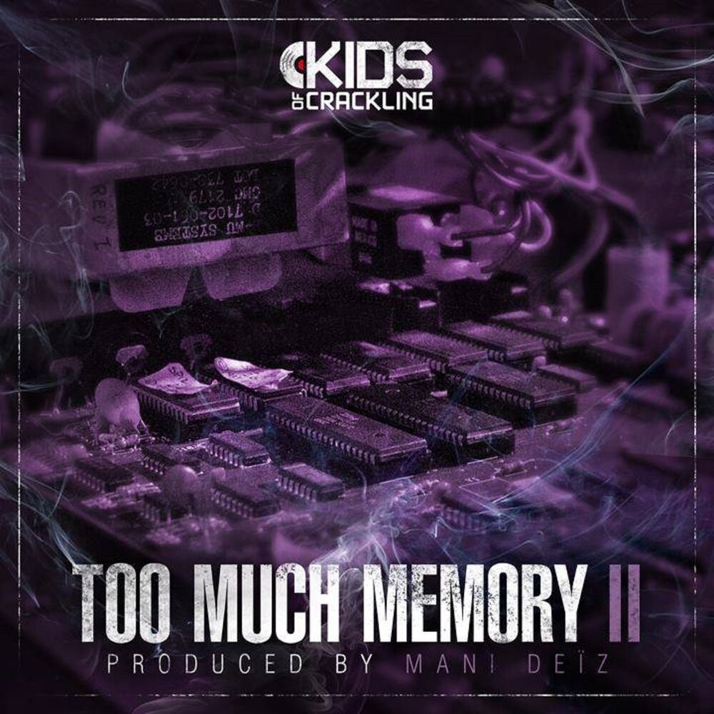 Picture of Too Much Memory, Vol. 2