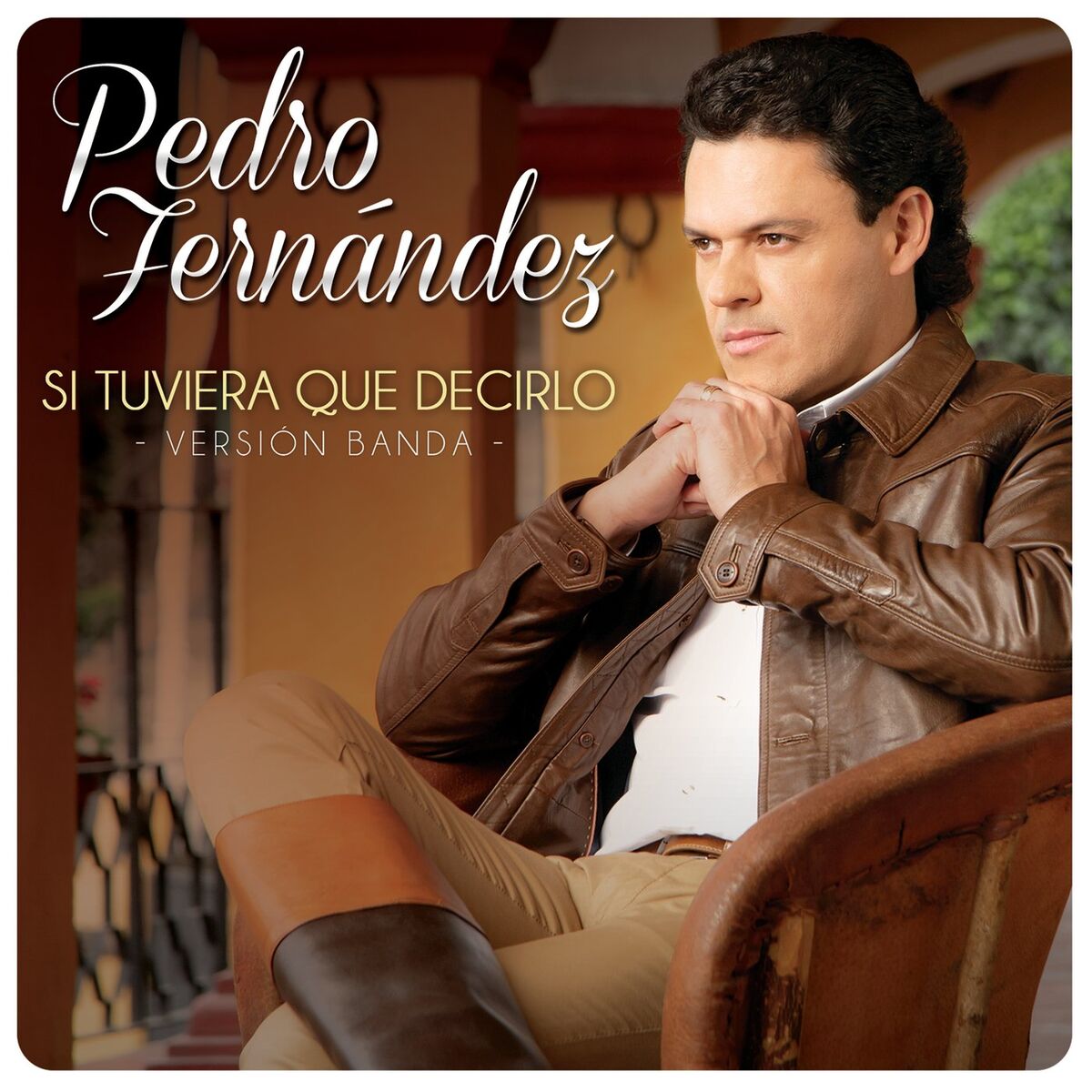 Album cover of Si Tuviera Que Decirlo