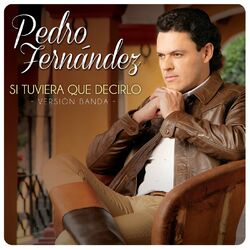 Cover of Si Tuviera Que Decirlo (Version Banda)