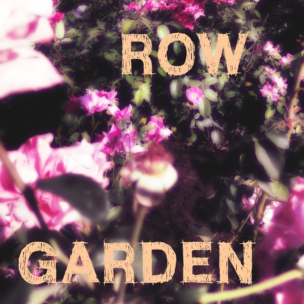 Picture of Row Garden