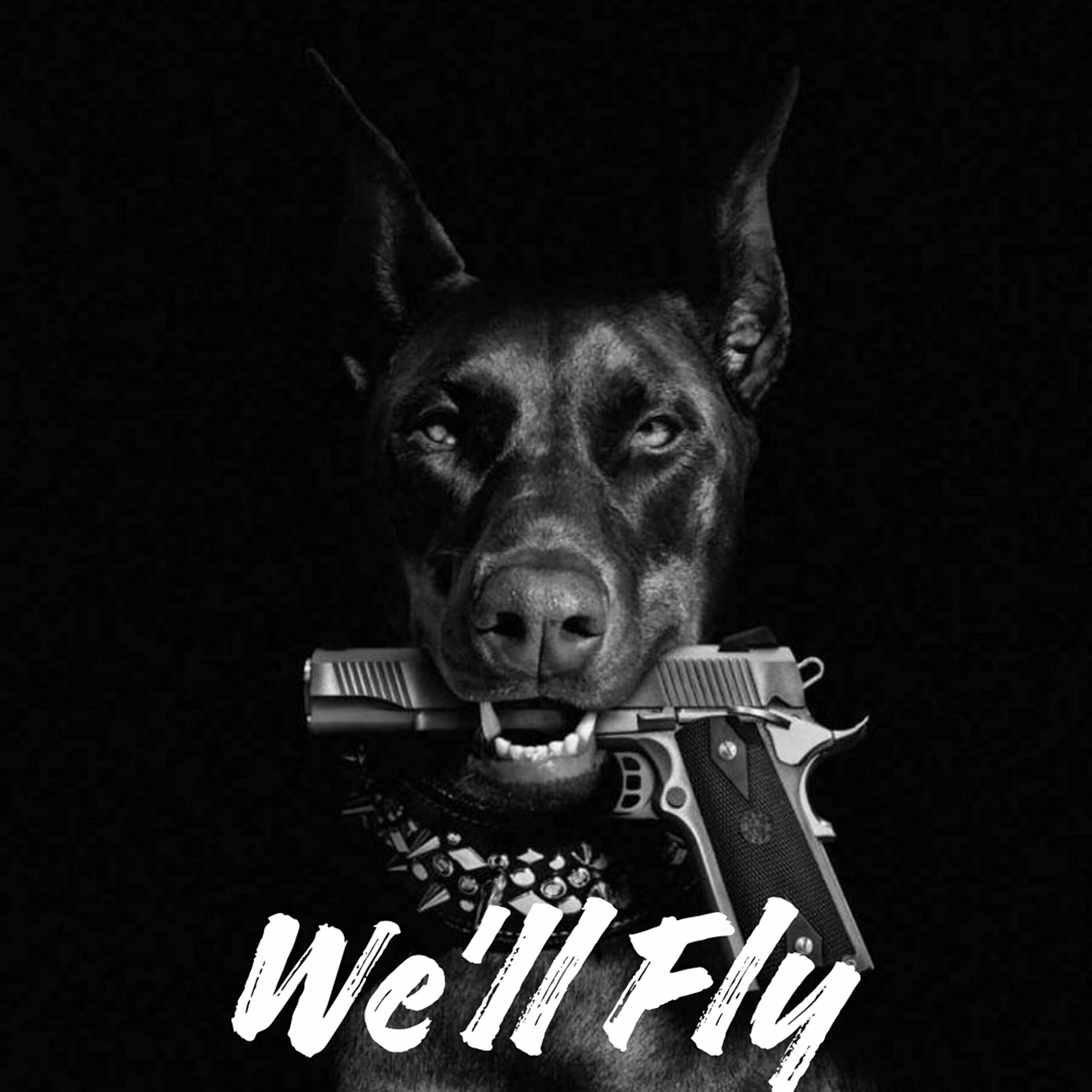 Album cover of We'll Fly