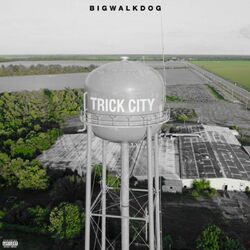 Cover of Trick City (Deluxe)