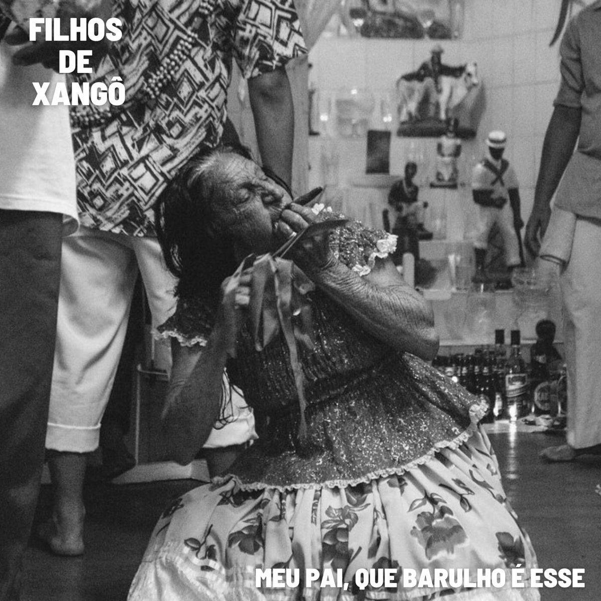 Album cover of Meu Pai Que Barulho É Esse