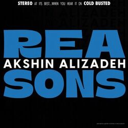 Cover of Reasons