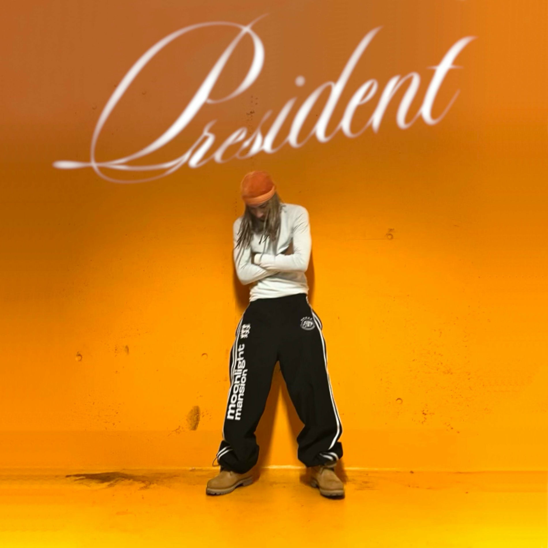 Album cover of PRESIDENT (STRAP MY BOOTS!)