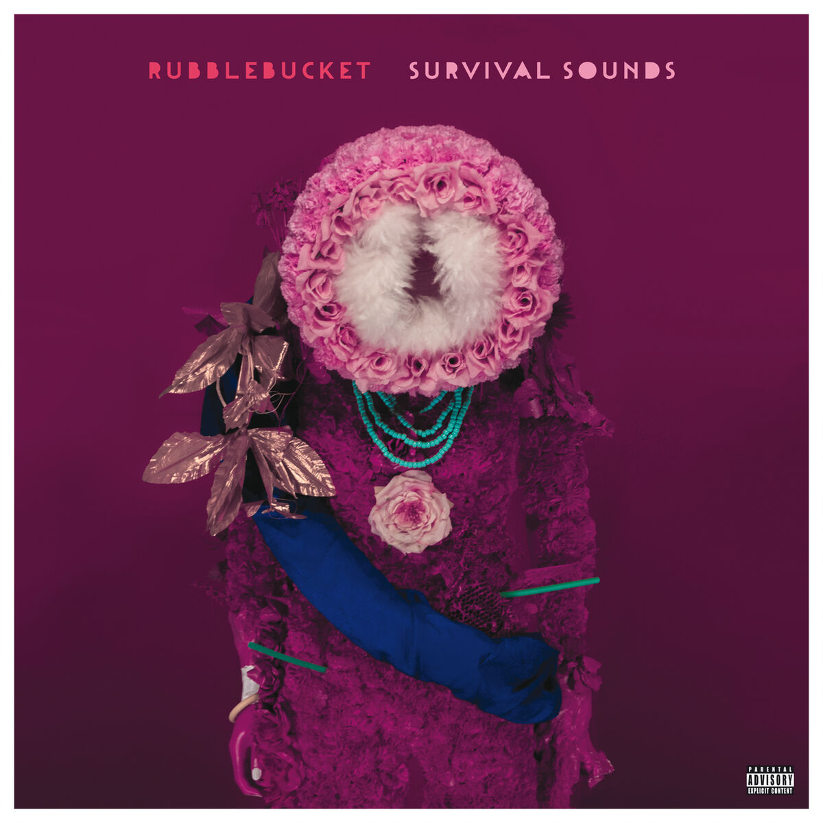 Album cover of Carousel Ride