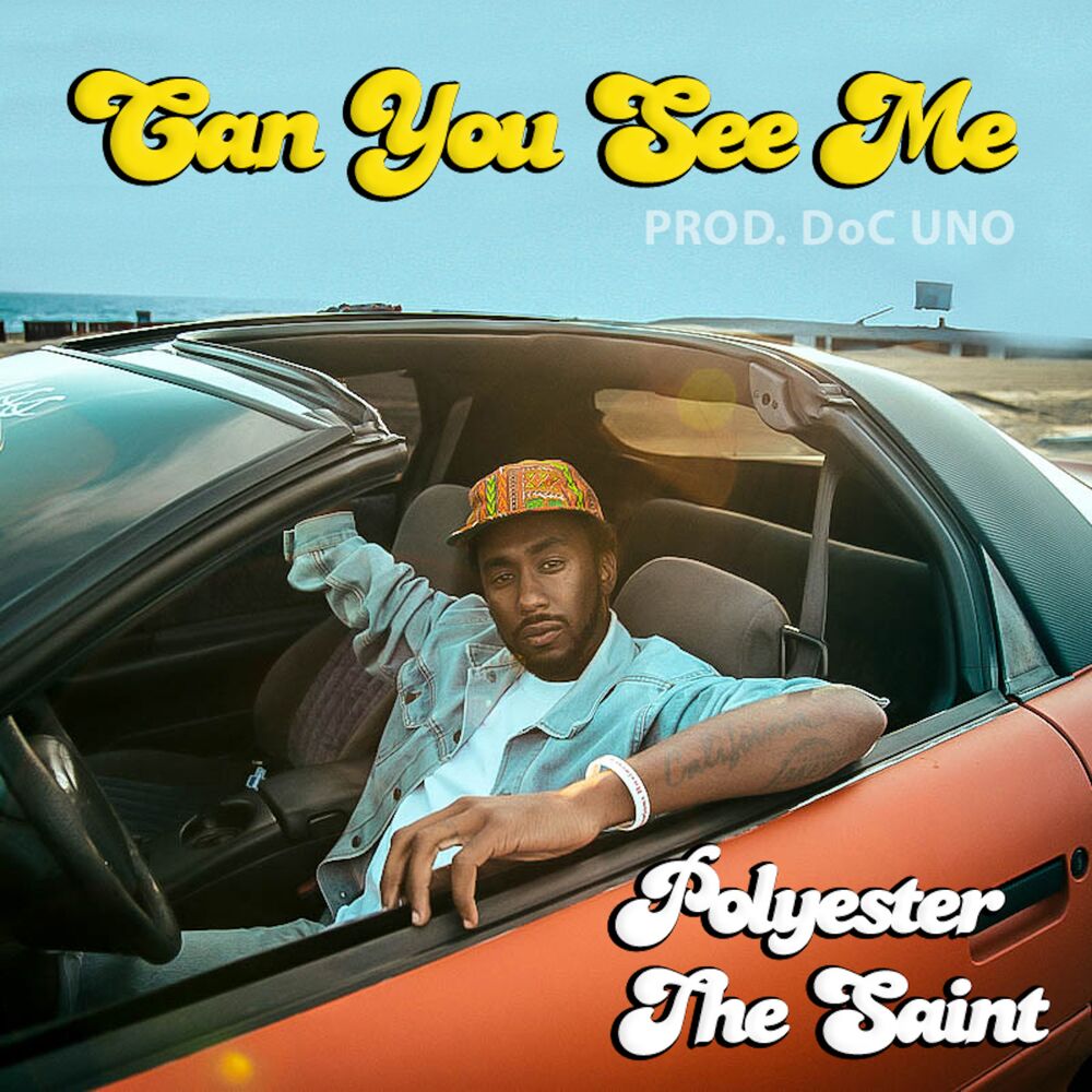 Picture of Can You See Me - Single