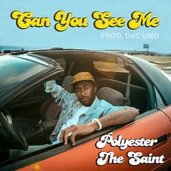 Cover of Can You See Me - Single
