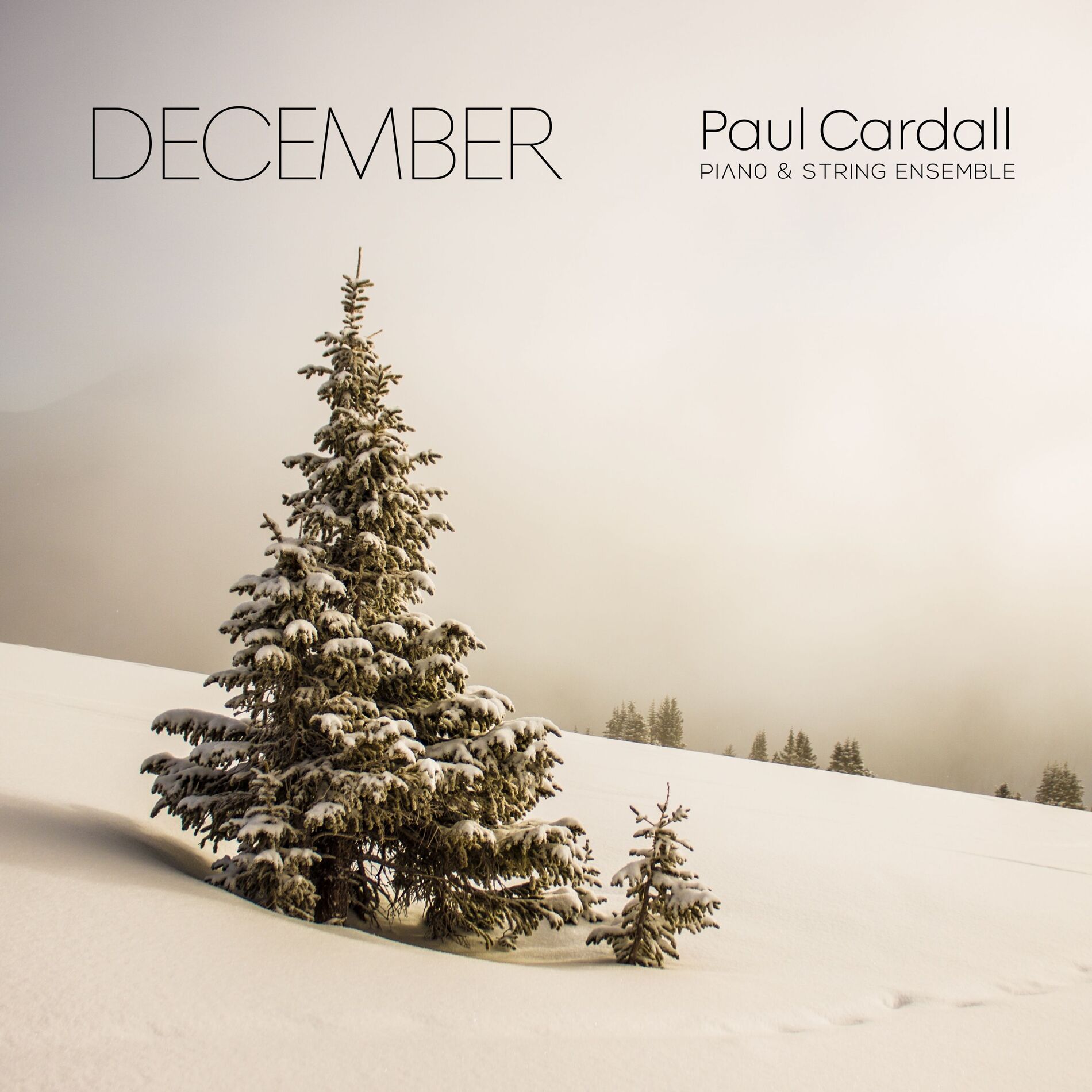 Album cover of December (Piano & String Ensemble)