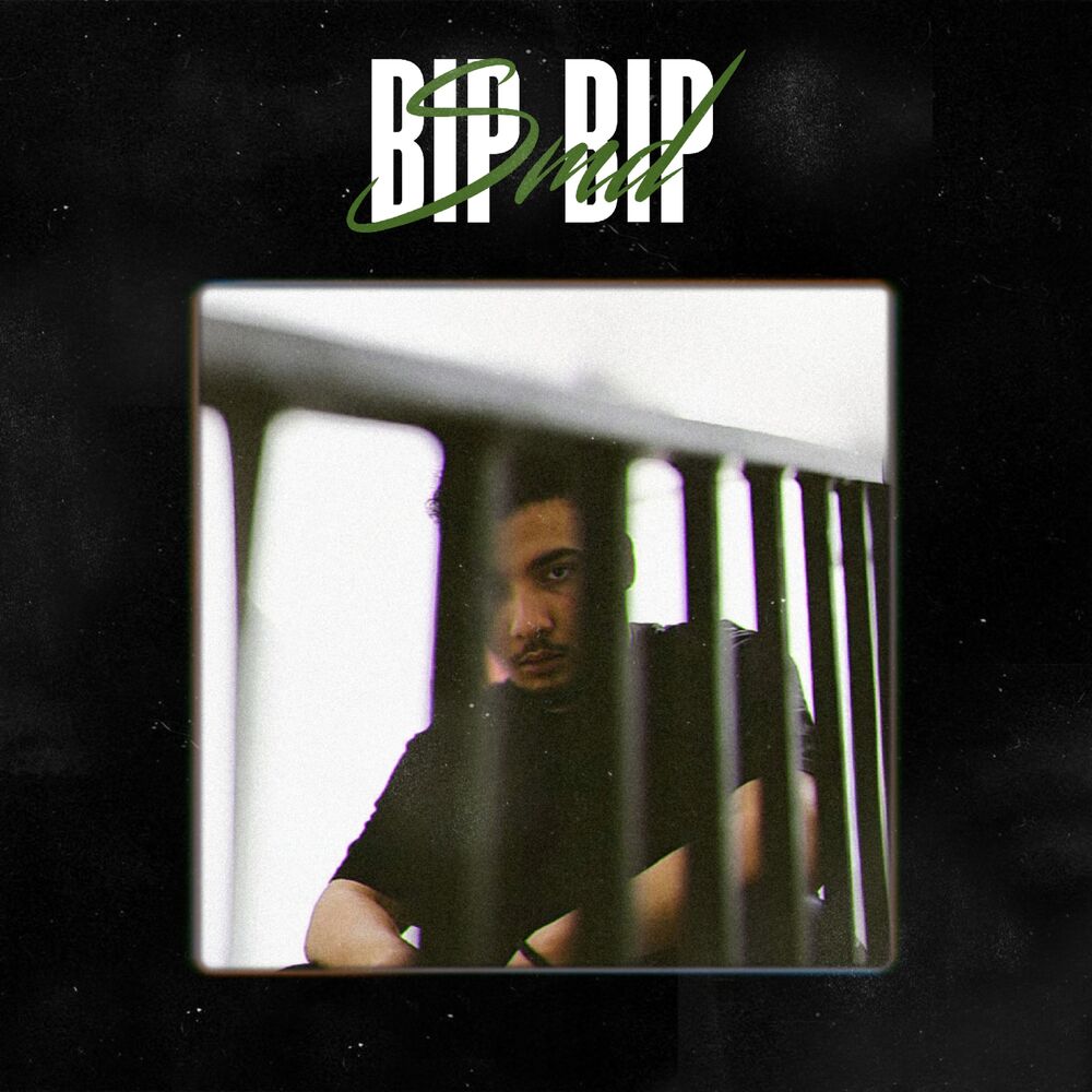 Picture of Bip Bip