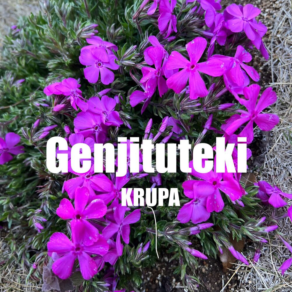 Picture of Genjituteki