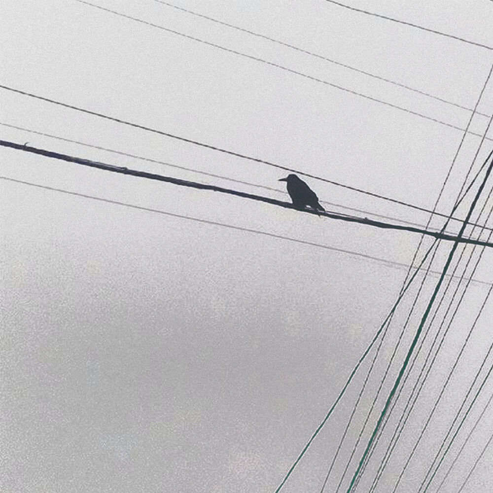 Picture of Dementor
